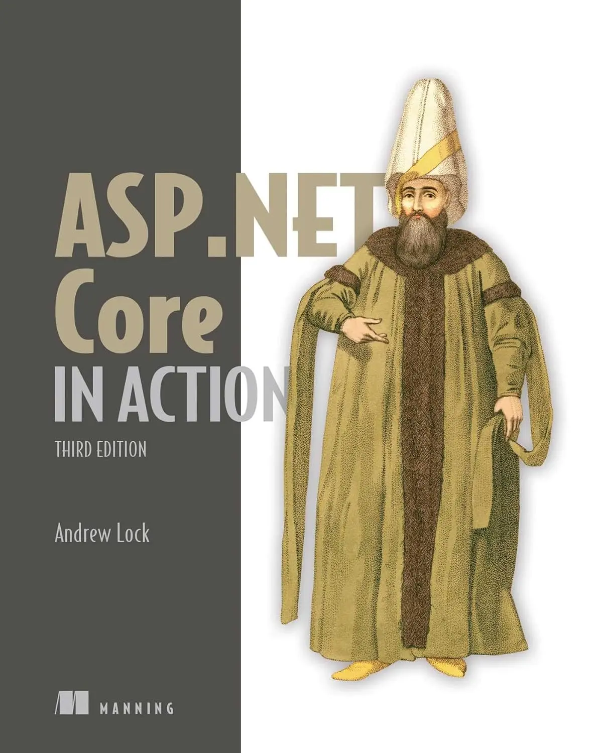 ASP.NET Core in Action. 3 Ed
