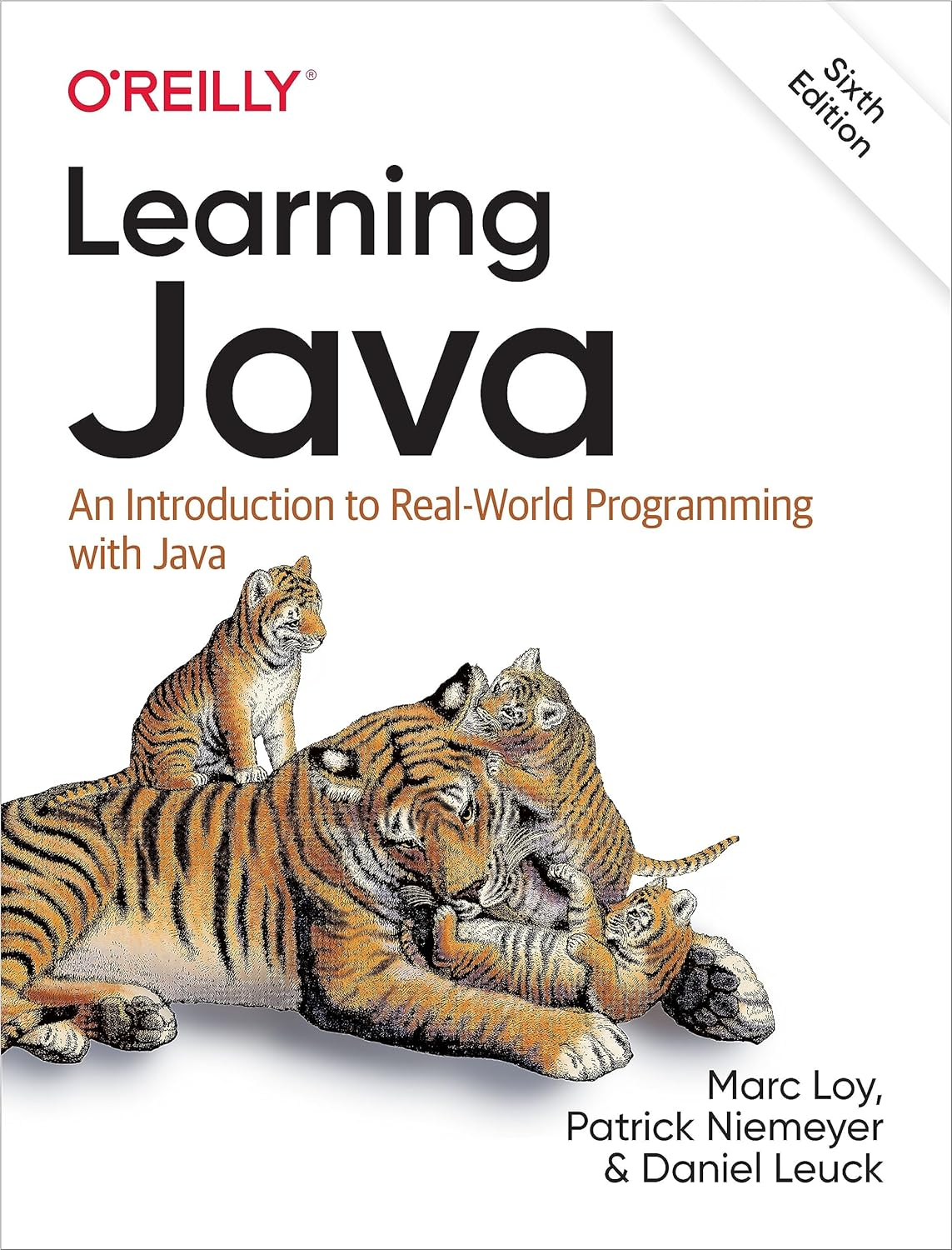 Learning Java: An Introduction to Real-World Programming with Java. 6 Ed