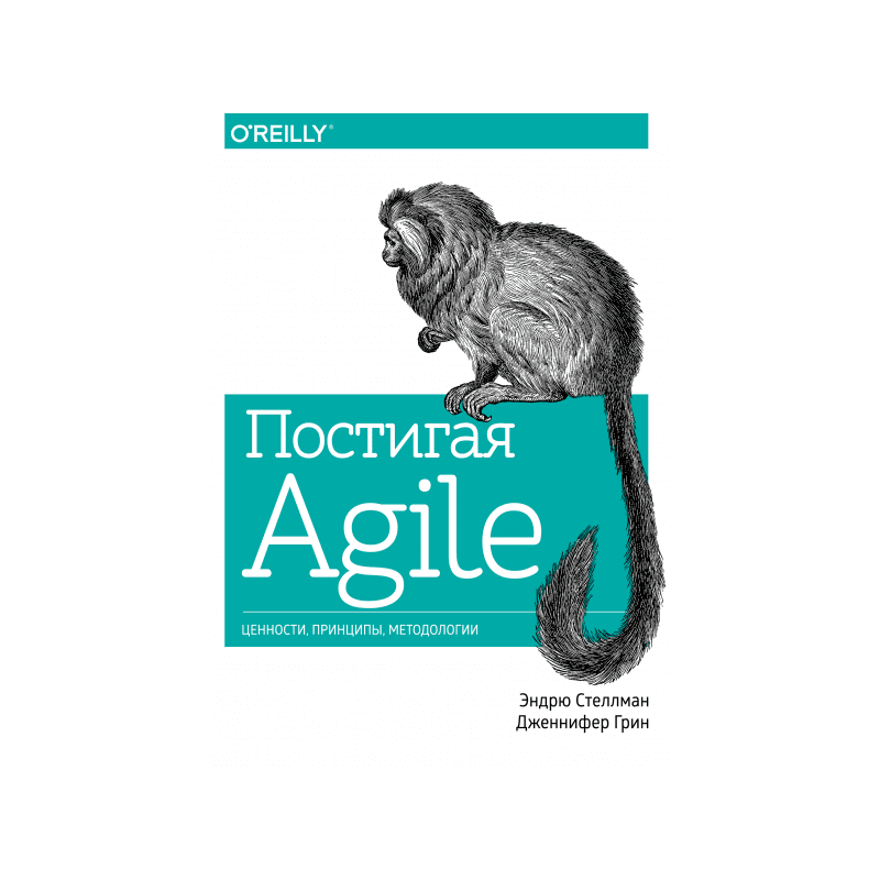 Постигая Agile. Ценности, принципы, методологии