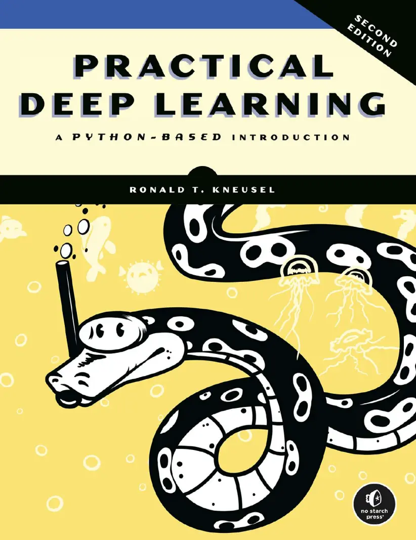 Practical Deep Learning: A Python-Based Introduction. 2 Ed