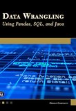 Data Wrangling Using Pandas, SQL, and Java