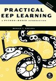 Practical Deep Learning: A Python-Based Introduction. 2 Ed