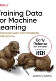 Training Data for Machine Learning: Human Supervision from Annotation to Data Science