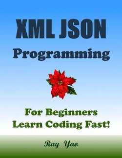 XML JSON Programming: For Beginners. Learn Coding Fast!